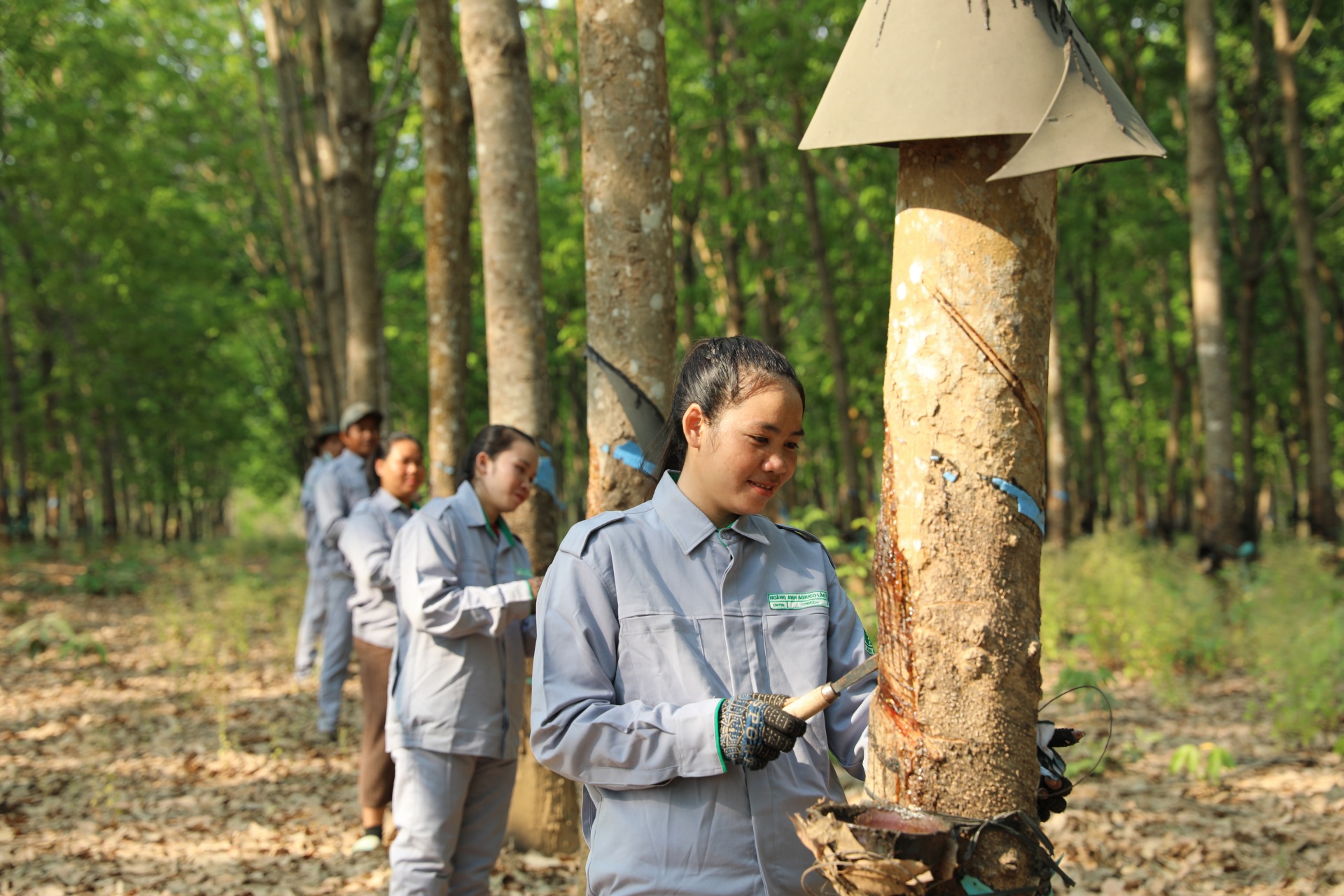 THACO AGRI đẩy mạnh tuyển dụng công nhân tại các địa phương thuộc Lào, Campuchia.