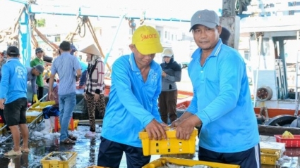 Sóc Trăng: Chú trọng thành lập các nghiệp đoàn khu vực phi chính thức