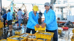 Sóc Trăng: Chú trọng thành lập các nghiệp đoàn khu vực phi chính thức