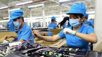 Kinh tế tư nhân phát triển: Công nhân lớn mạnh, công đoàn vững chắc
