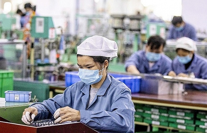 để phát huy vai trò đó, người lao động cần được bảo vệ và trao quyền. 